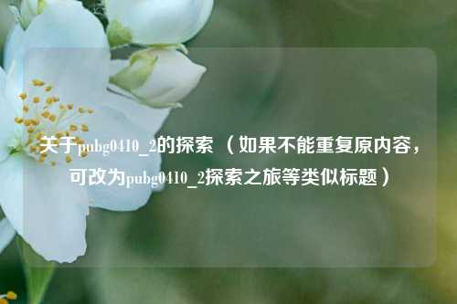 关于pubg0410_2的探索 （如果不能重复原内容，可改为pubg0410_2探索之旅等类似标题）