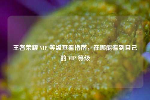 王者荣耀 VIP 等级查看指南,在哪能看到自己的 VIP 等级