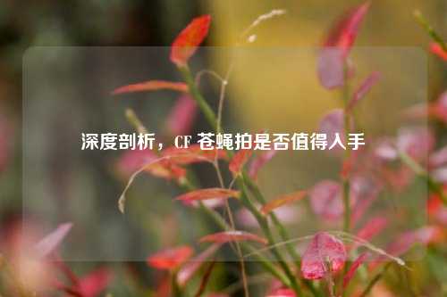 深度剖析，CF 苍蝇拍是否值得入手