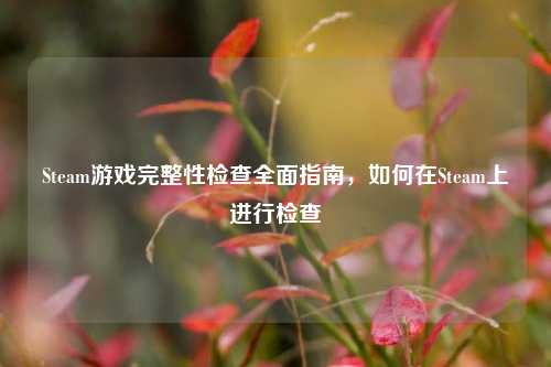 Steam游戏完整性检查全面指南,如何在Steam上进行检查