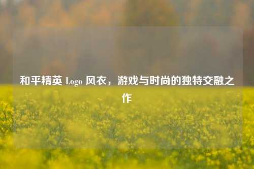 和平精英 Logo 风衣,游戏与时尚的独特交融之作