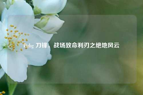 Pubg 刀锋，战场致命利刃之绝地风云