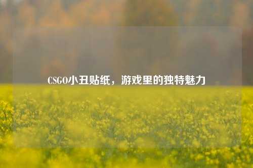 CSGO小丑贴纸，游戏里的独特魅力