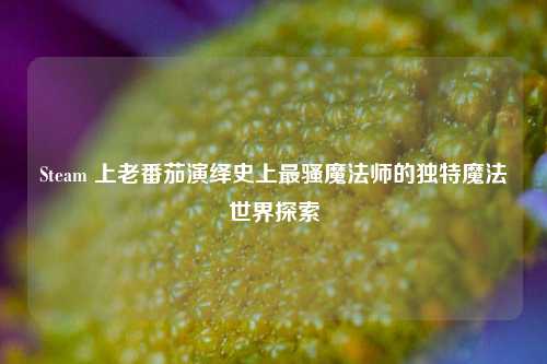 Steam 上老番茄演绎史上最骚魔法师的独特魔法世界探索