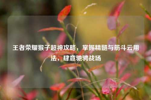 王者荣耀猴子超神攻略,掌握精髓与筋斗云用法,肆意驰骋战场