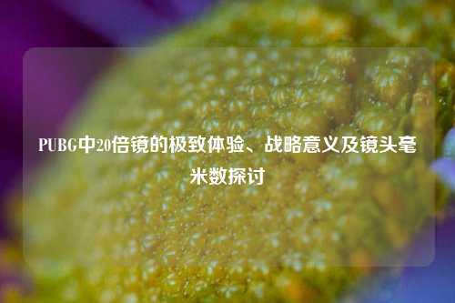 PUBG中20倍镜的极致体验、战略意义及镜头毫米数探讨