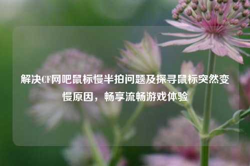 解决CF网吧鼠标慢半拍问题及探寻鼠标突然变慢原因，畅享流畅游戏体验