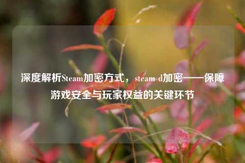 深度解析Steam加密方式,steam d加密——保障游戏安全与玩家权益的关键环节