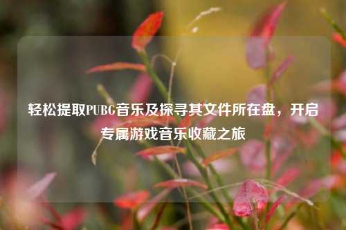 轻松提取PUBG音乐及探寻其文件所在盘，开启专属游戏音乐收藏之旅