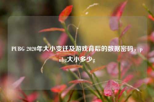 PUBG 2020年大小变迁及游戏背后的数据密码,pubg大小多少g