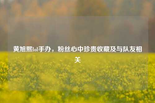 黄旭熙lol手办,粉丝心中珍贵收藏及与队友相关