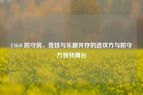 CSGO 防守房，竞技与乐趣并存的进攻方与防守方独特舞台