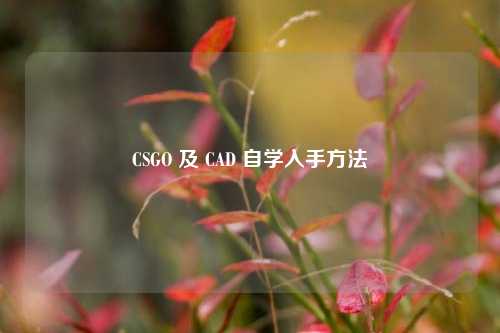 CSGO 及 CAD 自学入手方法