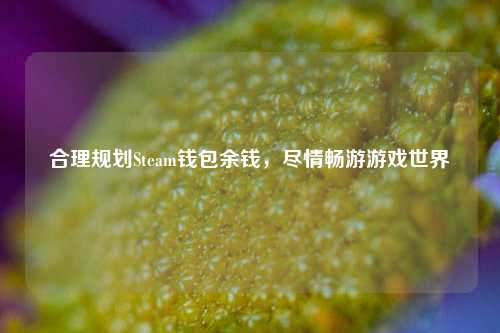 合理规划Steam钱包余钱，尽情畅游游戏世界
