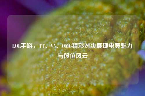 LOL手游,TT、V5、OMG精彩对决展现电竞魅力与段位风云