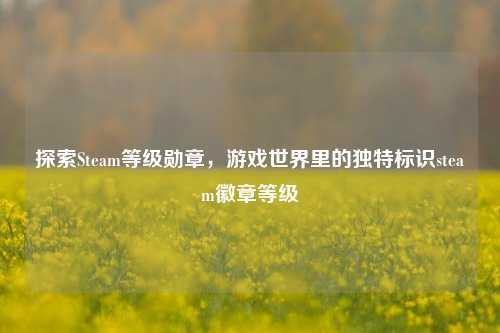 探索Steam等级勋章,游戏世界里的独特标识steam徽章等级