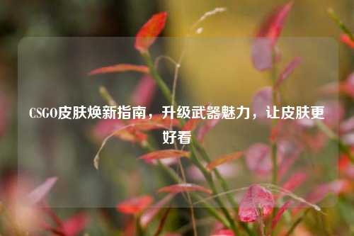 CSGO皮肤焕新指南，升级武器魅力，让皮肤更好看