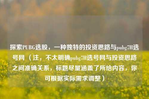 探索PUBG选股,一种独特的投资思路与pubg7H选号网 (注,不太明确pubg7H选号网与投资思路之间准确关系,标题尽量涵盖了所给内容,你可根据实际需求调整)