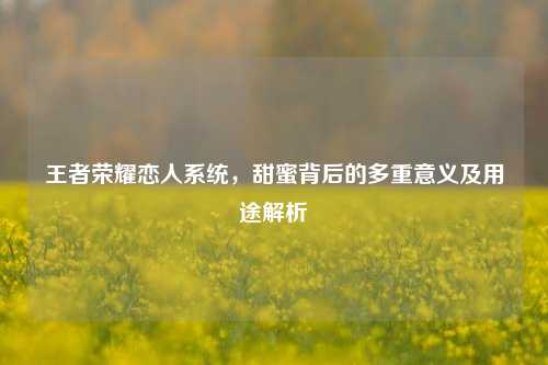 王者荣耀恋人系统,甜蜜背后的多重意义及用途解析