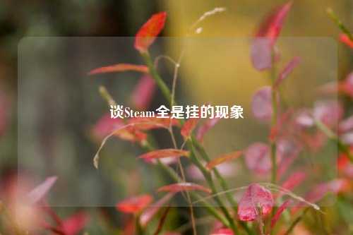谈Steam全是挂的现象
