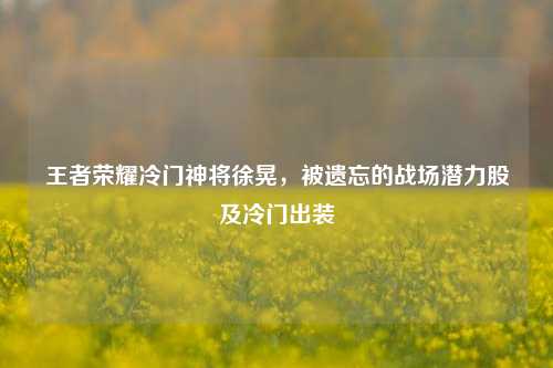 王者荣耀冷门神将徐晃,被遗忘的战场潜力股及冷门出装