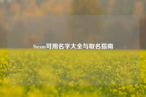 Steam可用名字大全与取名指南