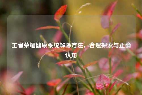 王者荣耀健康系统解除方法,合理探索与正确认知