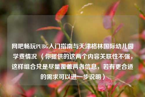 网吧畅玩PUBG入门指南与天津格林国际幼儿园学费情况 （你提供的这两个内容关联性不强，这样组合只是尽量覆盖两者信息，若有更合适的需求可以进一步说明）