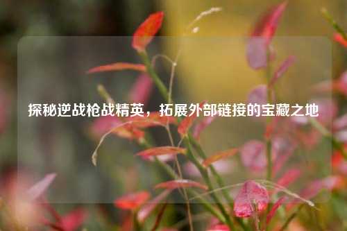 探秘逆战枪战精英,拓展外部链接的宝藏之地