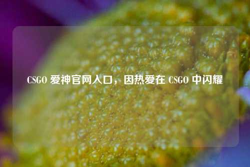 CSGO 爱神官网入口,因热爱在 CSGO 中闪耀