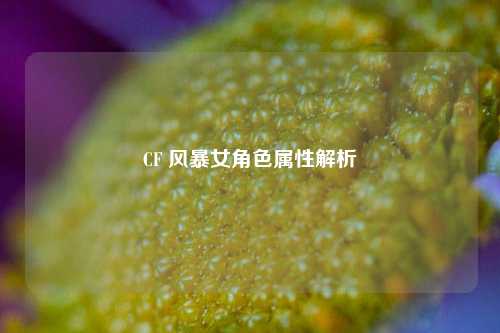 CF 风暴女角色属性解析