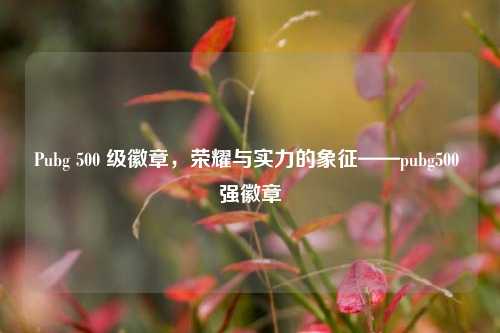 Pubg 500 级徽章,荣耀与实力的象征——pubg500 强徽章