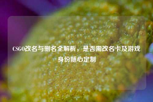 CSGO改名与删名全解析，是否需改名卡及游戏身份随心定制