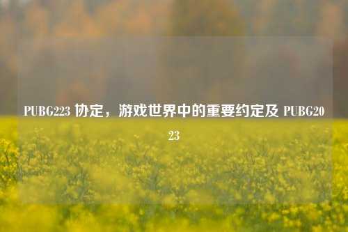 PUBG223 协定，游戏世界中的重要约定及 PUBG2023