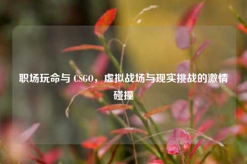职场玩命与 CSGO，虚拟战场与现实挑战的激情碰撞