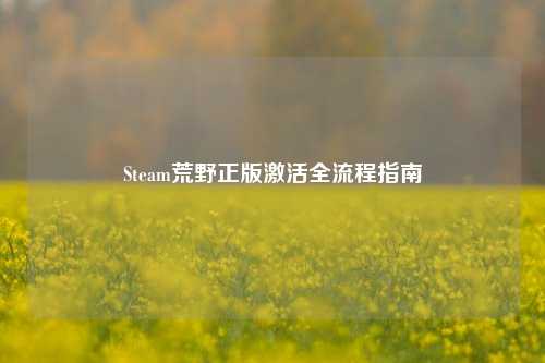 Steam荒野正版激活全流程指南
