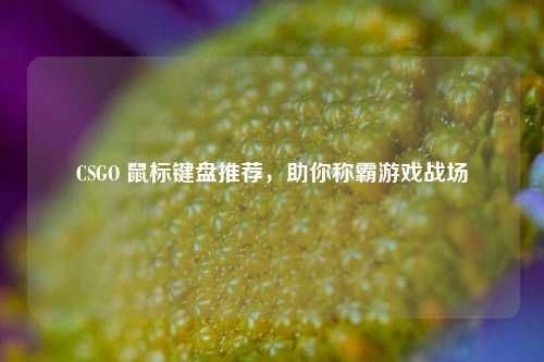 CSGO 鼠标键盘推荐,助你称霸游戏战场