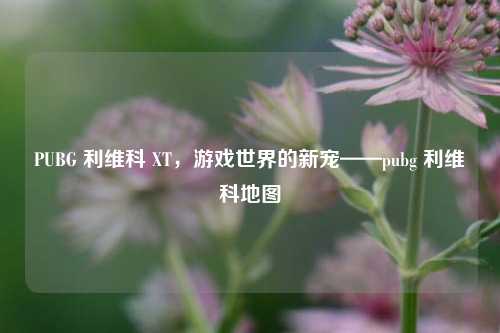 PUBG 利维科 XT，游戏世界的新宠——pubg 利维科地图