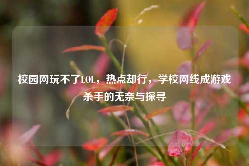 校园网玩不了LOL，热点却行，学校网线成游戏杀手的无奈与探寻