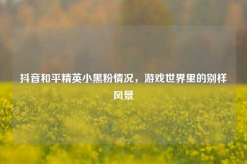 抖音和平精英小黑粉情况，游戏世界里的别样风景