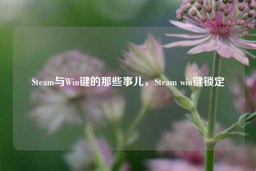 Steam与Win键的那些事儿,Steam win键锁定