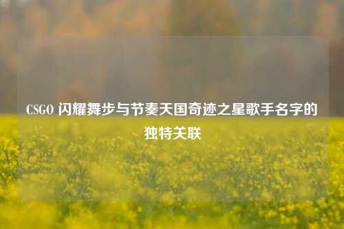 CSGO 闪耀舞步与节奏天国奇迹之星歌手名字的独特关联