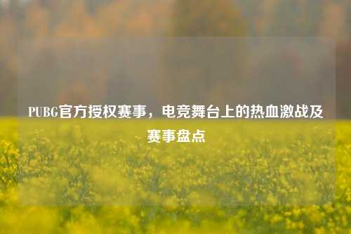 PUBG官方授权赛事，电竞舞台上的热血激战及赛事盘点