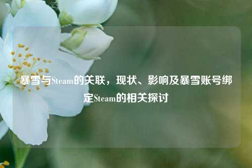 暴雪与Steam的关联，现状、影响及暴雪账号绑定Steam的相关探讨