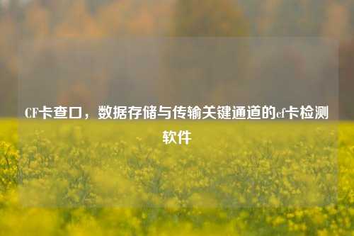 CF卡查口,数据存储与传输关键通道的cf卡检测软件