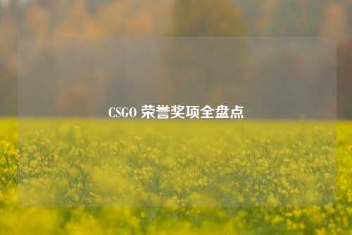 CSGO 荣誉奖项全盘点