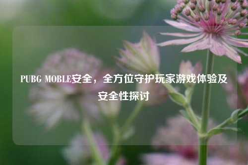 PUBG MOBLE安全，全方位守护玩家游戏体验及安全性探讨