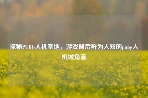 探秘PUBG人机基地,游戏背后鲜为人知的pubg人机城角落