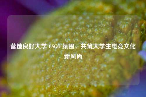 营造良好大学 CSGO 氛围，共筑大学生电竞文化新风尚