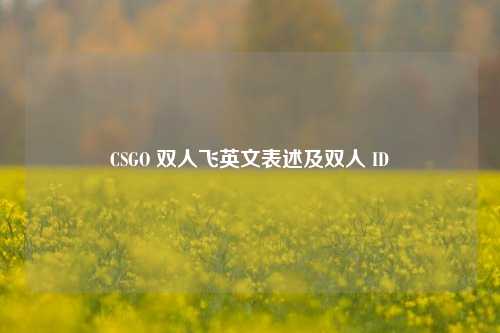CSGO 双人飞英文表述及双人 ID